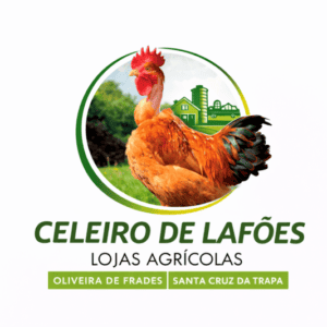 ChatGPT Image 2_04_2026, 16_55_56