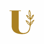 ChatGPT Image 6_04_2026, 18_58_25