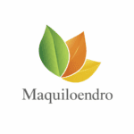 ChatGPT Image 6_04_2026, 19_13_52