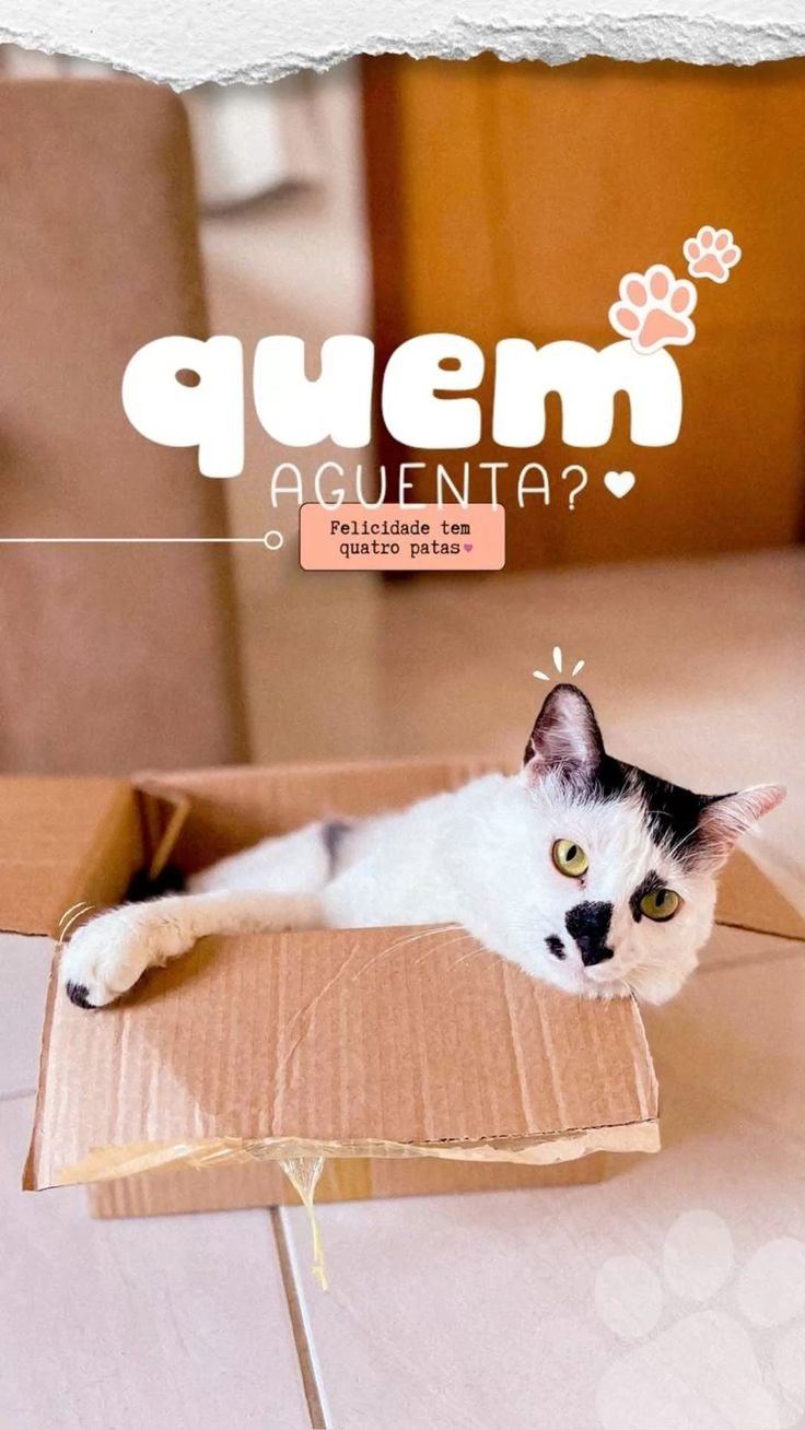 Destaque - OLIVET - Consultório Veterinário