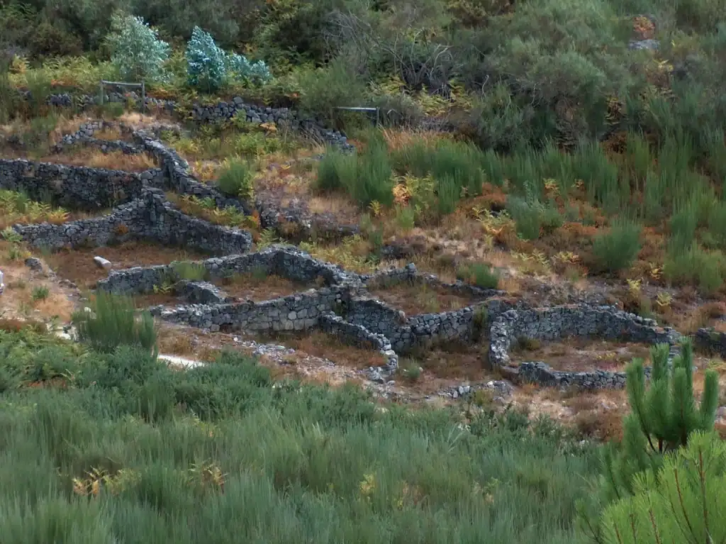 Ruínas de construções em pedra do Castro da Cárcoda, em Carvalhais, São Pedro do Sul.