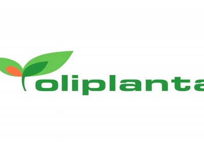 OLIPLANTA – LOJA DE PLANTAS E FLORES