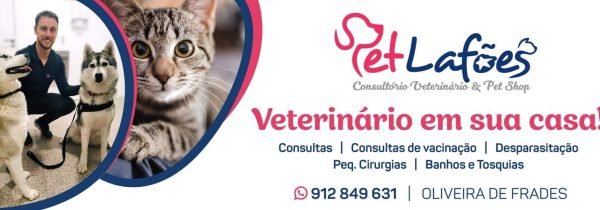 471150756_1126841602392093_7768610498887974724_n