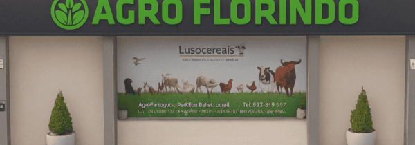 ChatGPT-Image-13_10_2025-14_32_50