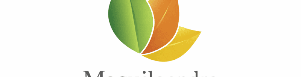 ChatGPT Image 6_04_2026, 19_13_52