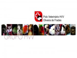veterinaria_hvv_banner_700x526